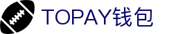TOPAY钱包 - 安全便捷的个人财务管理工具